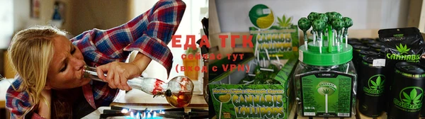 тгк Ельня