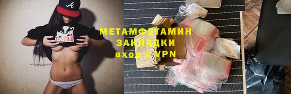 прущие грибы Пересвет