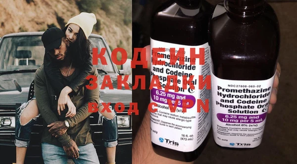 прущие грибы Пересвет