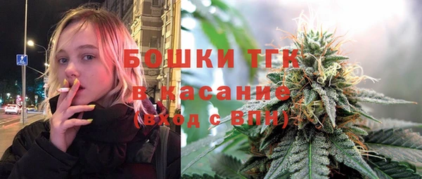 твердый Елизово