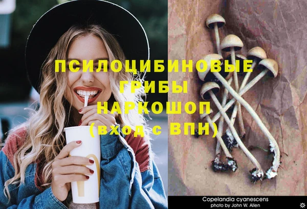 МДМА Елабуга