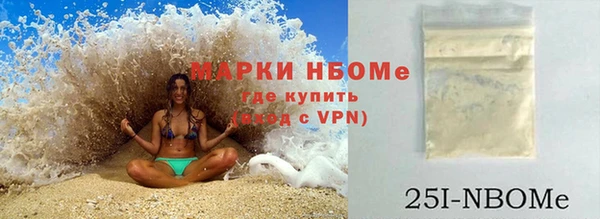 индика Пестово