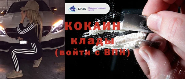 шишки Остров